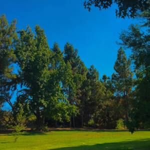 Meet your Posher, Pamela